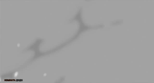Кадр #45 из Блич: Воспоминания ни о ком