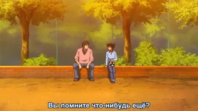 Кадр #36 из Детектив Конан: Дело о таинственной стене и чёрном лабрадоре