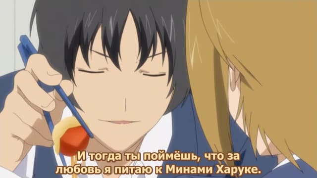 Кадр #30 из Сёстры Минами OVA