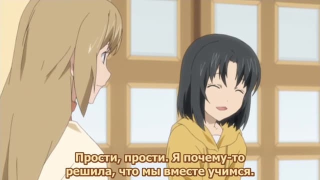 Кадр #31 из Сёстры Минами OVA