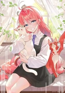 Кот и дракон Кот и дракон